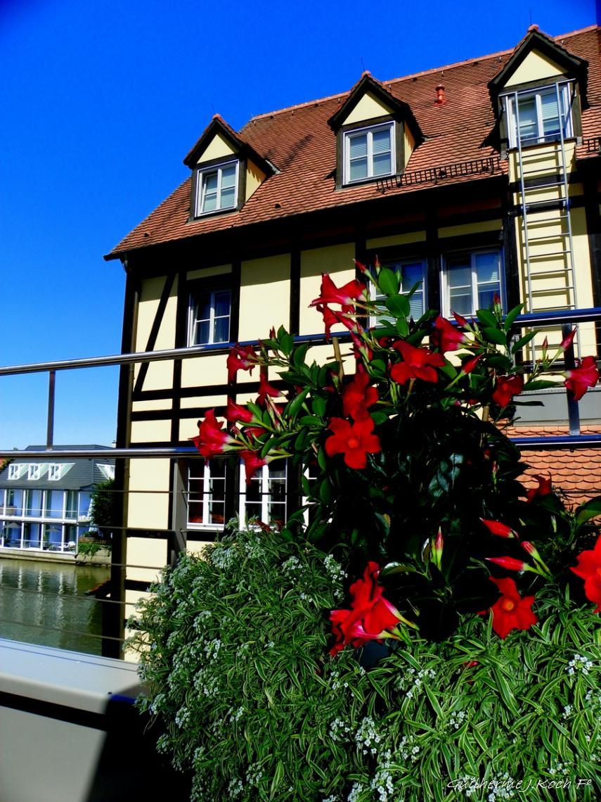 tags: Arquitetura,flores,enxaimel

Eckerts Wirtshaus, Bamberg, Alemanha