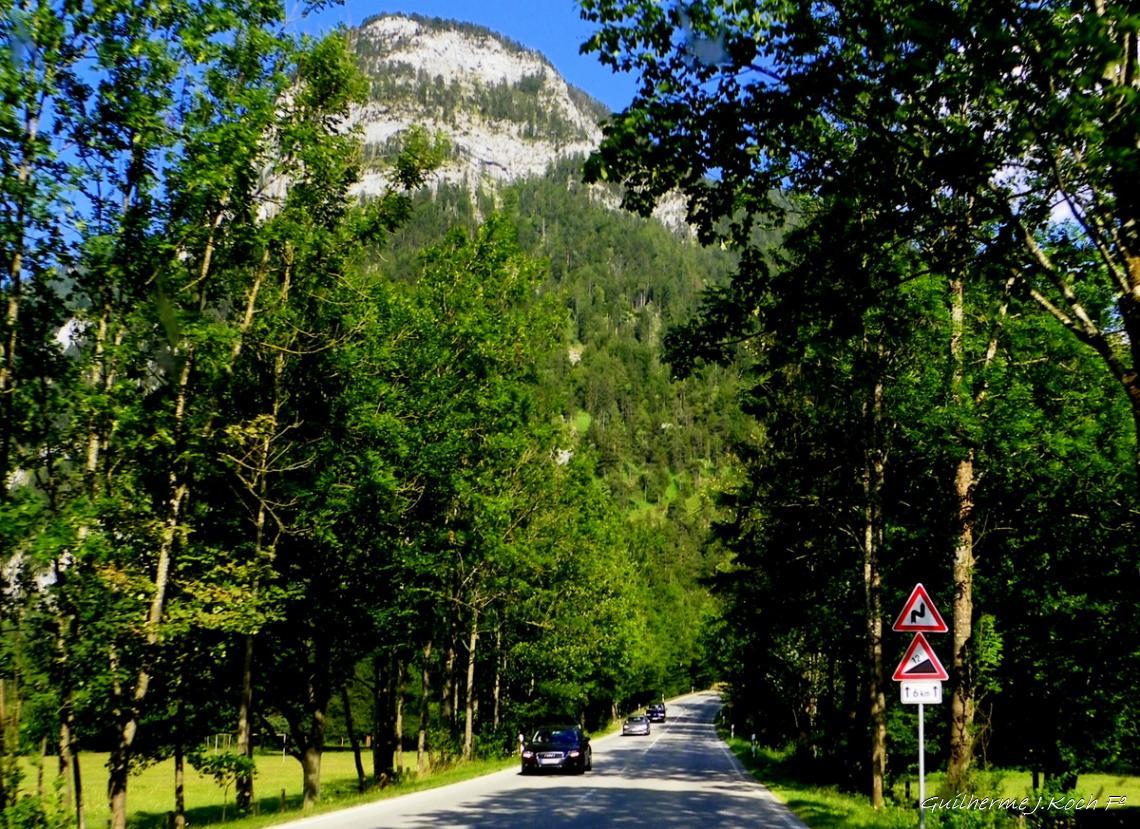tags: paisagem rodovi&aacute;ria,verde,natureza,rodovia,montanhas

a caminho dos Alpes em Sch&ouml;nau, Alemanha
