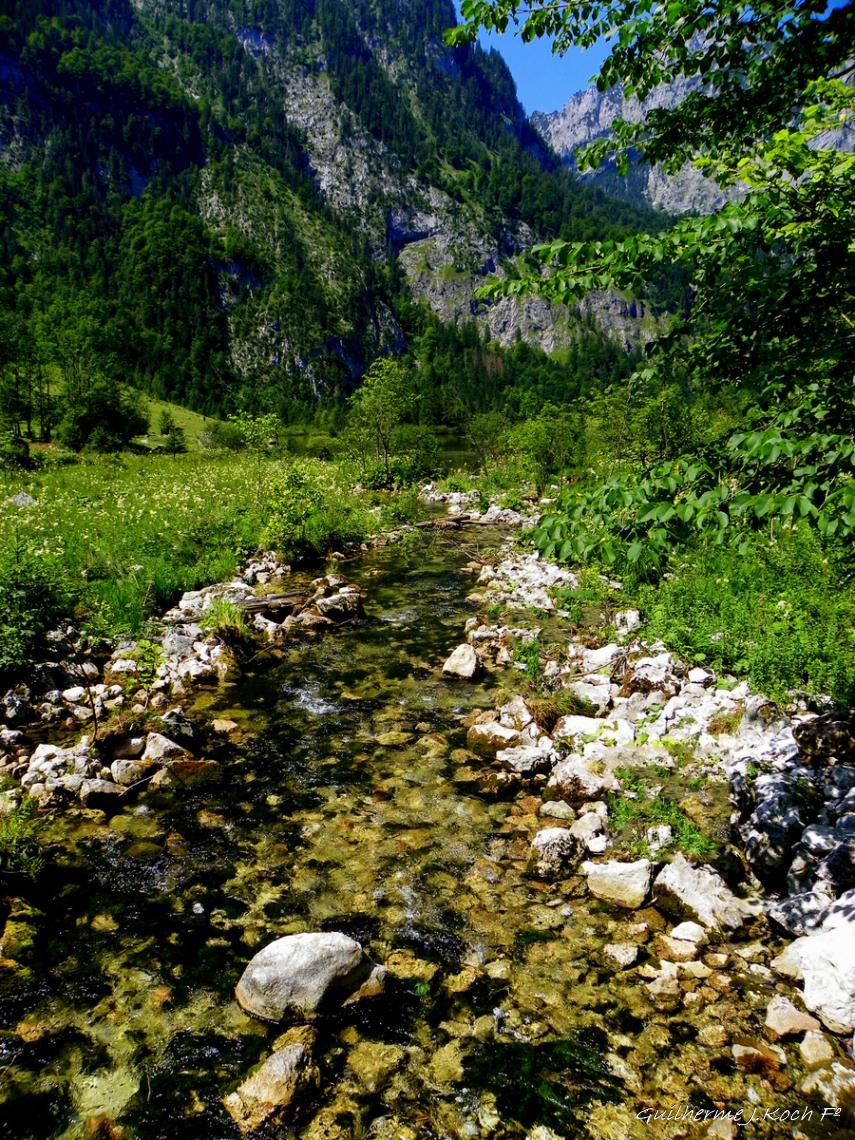 tags: riacho,natureza,floresta,verde,agua

K&ouml;nigssee, Sch&ouml;nau, Alemanha