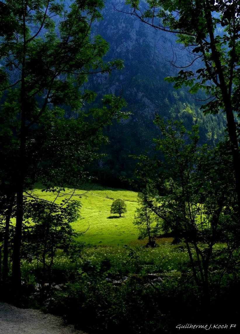 tags: Paisagem,natureza,verde,floresta

K&ouml;nigssee, Sch&ouml;nau, Alemanha