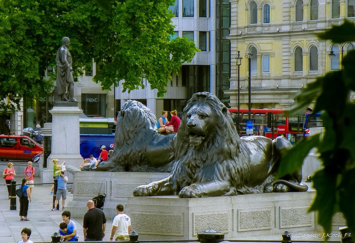 tags: Arquitetura,pra&ccedil;as,monumento

National Gallery, Londres, UK
