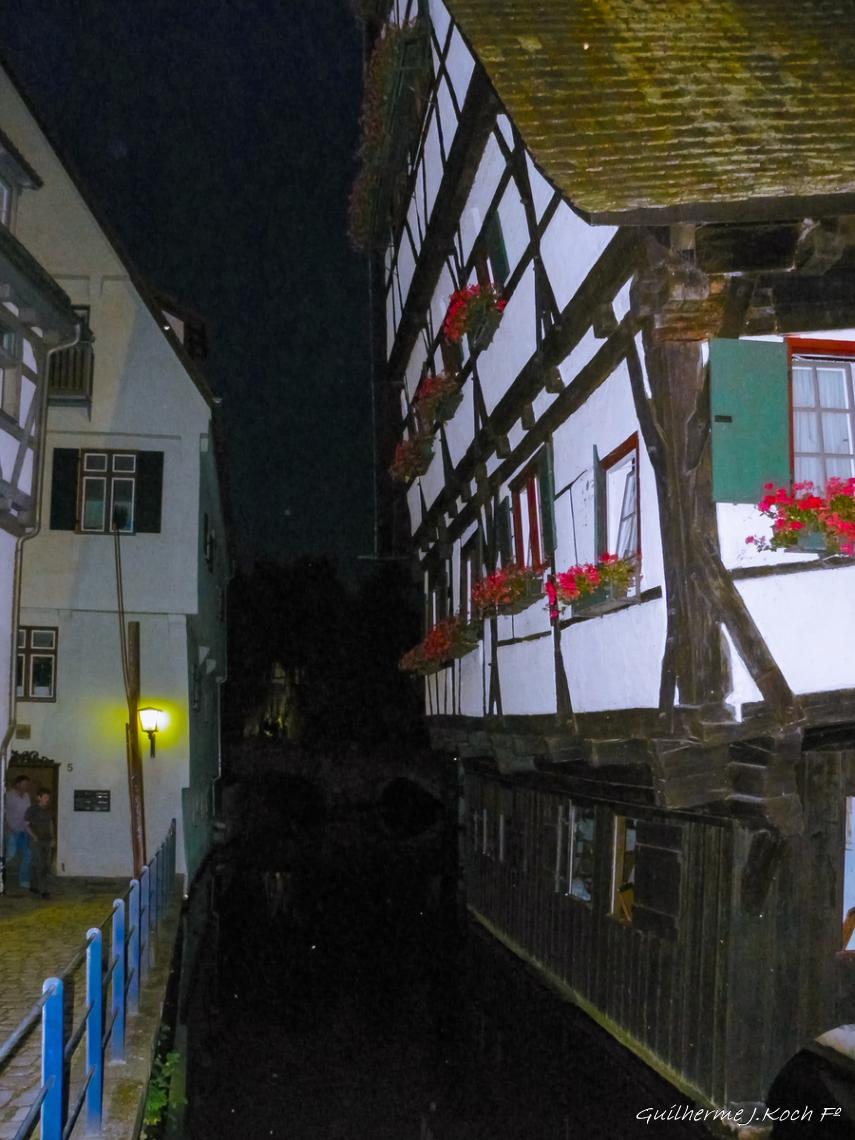 tags: Arquitetura,hist&oacute;ria,enxaimel,flores

Hotel Schiefes Haus em Ulm, DE - "hotel mais torto do mundo"
