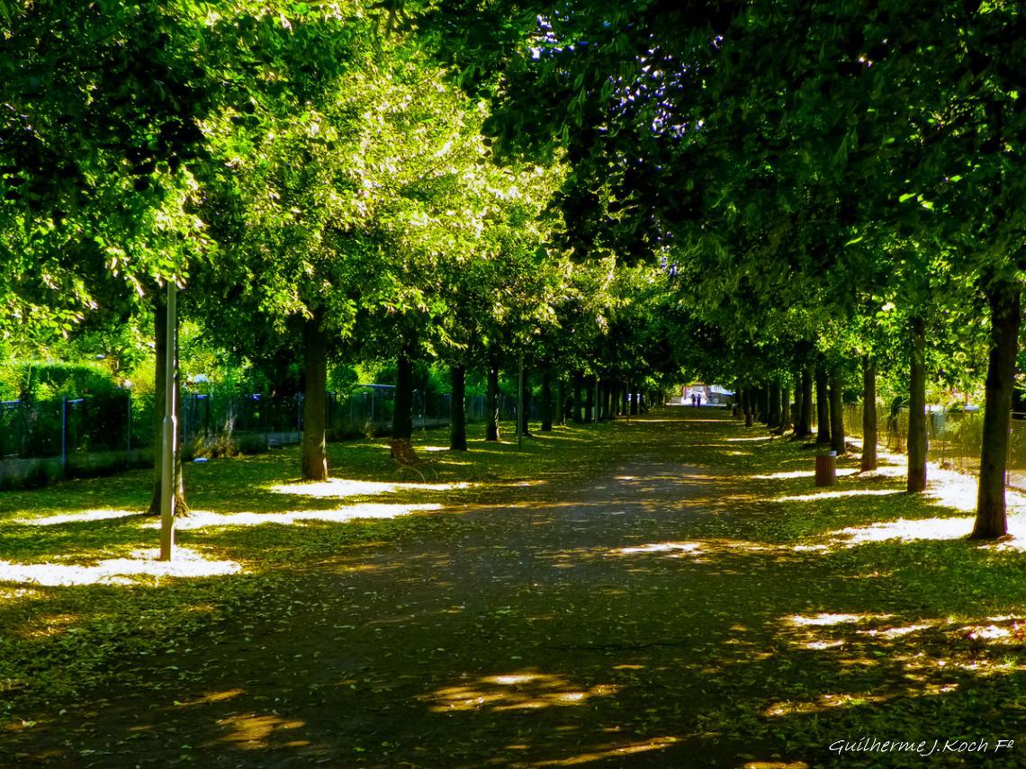 tags: verde,campo,natureza

Heusenstamm Alemanha