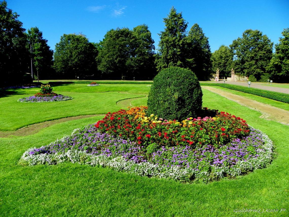 tags: jardim,flores,verde

Prefeitura de Heusenstamm, Alemanha