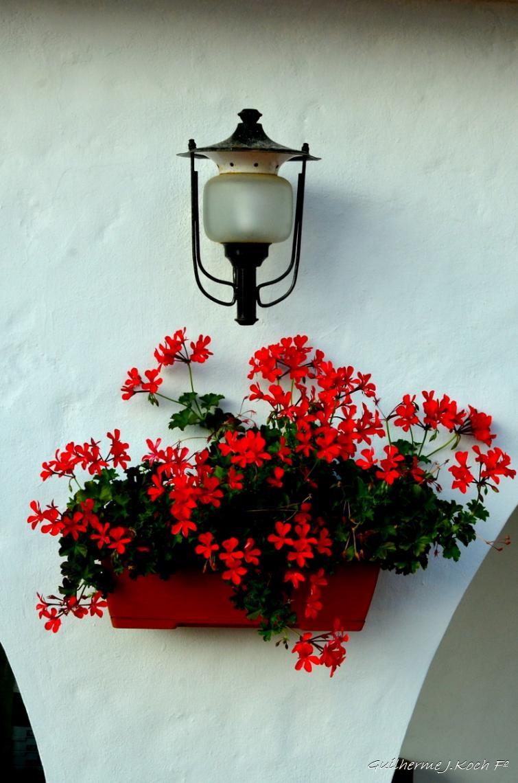 tags: museu,flores,luminaria,vermelho

Museu Ralli, Punta del Este,  Maldonado, Uruguai