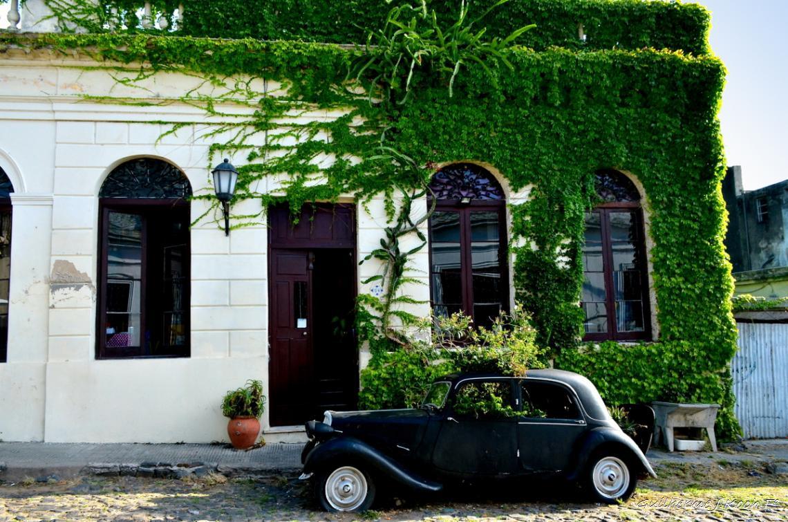 tags: Arquitetura,hist&oacute;ria,verde

Colonia Del Sacramento, Uruguai 