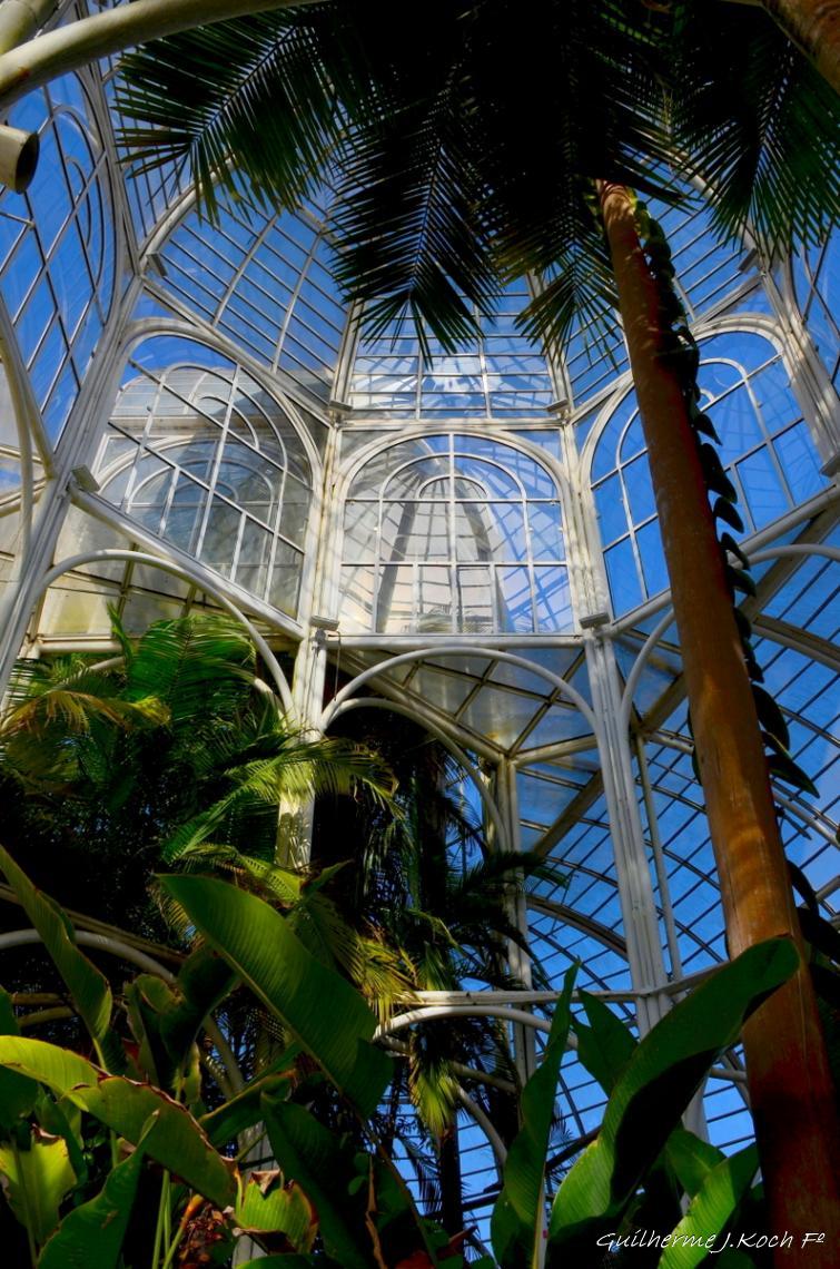 tags: Arquitetura,natureza,verde

Jardim Bot&acirc;nico, Curitiba, PR, Brasil