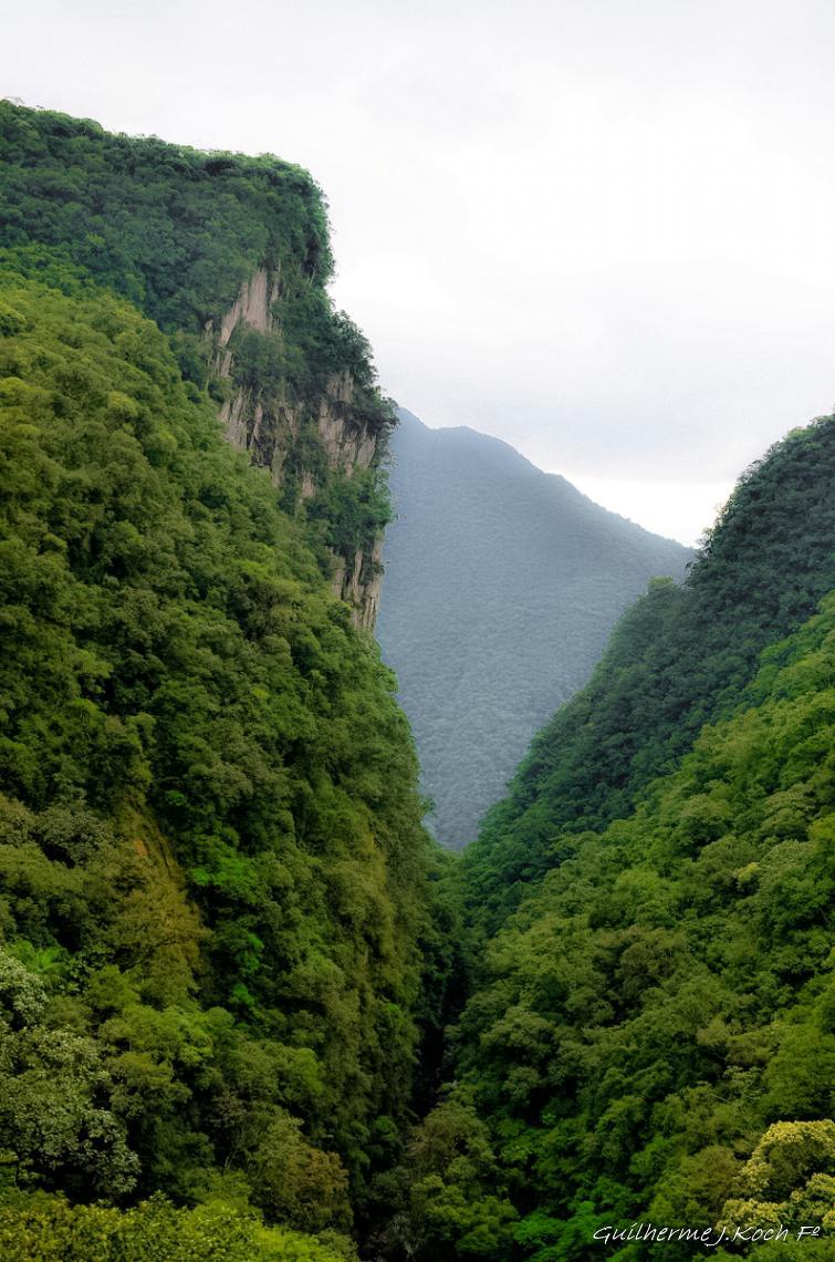 tags: natureza,serra,montanhas,verde,paisagem

Serra do Mar, PR, Brasil, de trem de Curitiba a Morretes