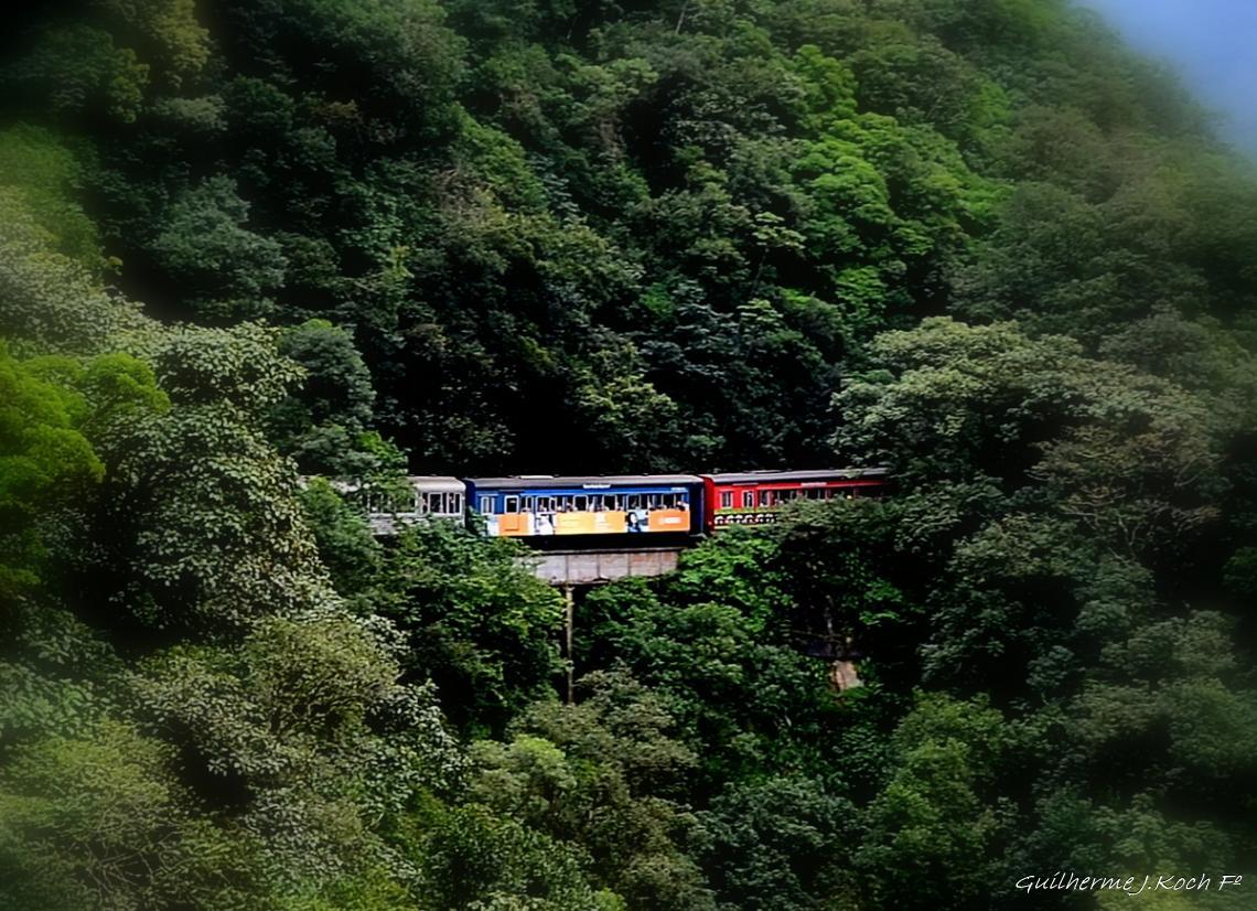 tags: natureza,serra,trem,verde

Serra do Mar, PR, Brasil, de trem de Curitiba a Morretes