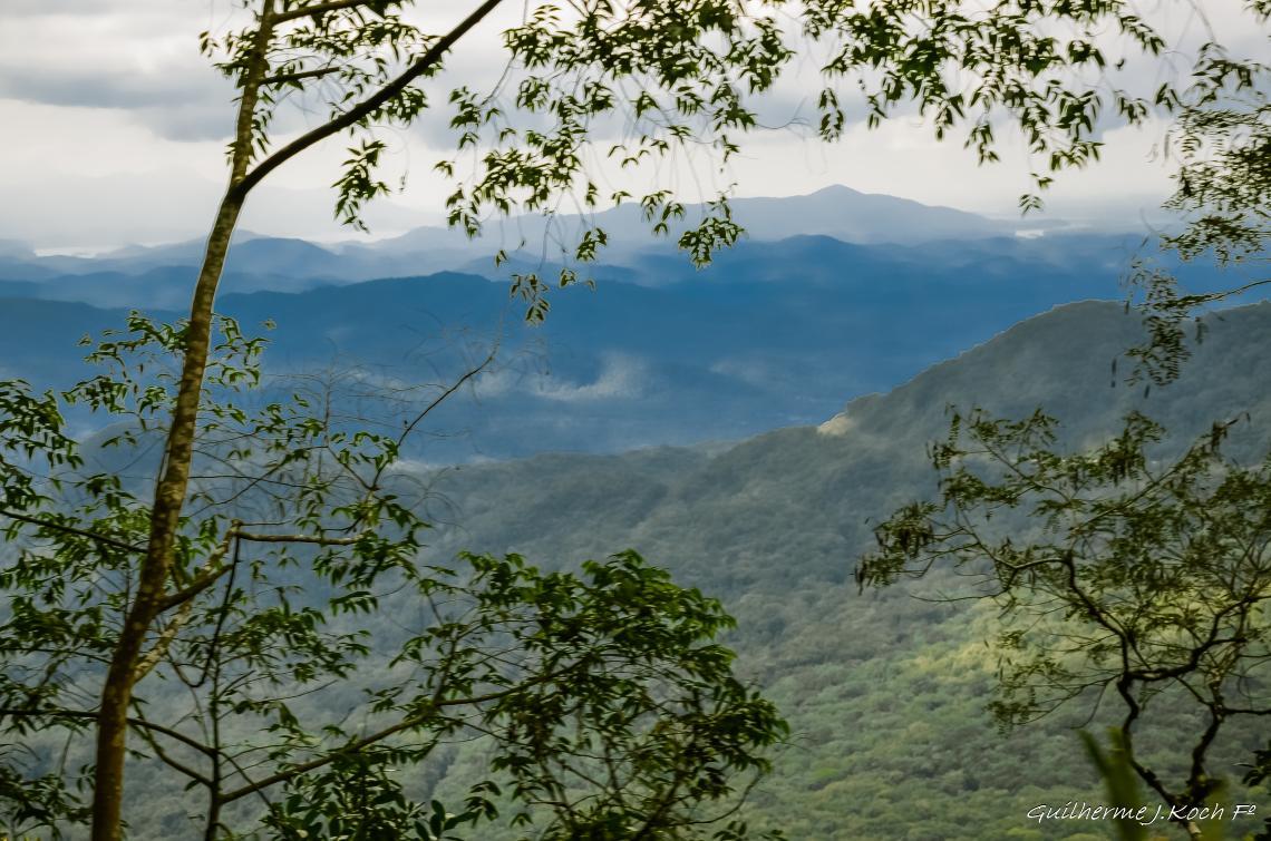 tags: natureza,verde,montanhas,paisagem

Serra do Mar, PR, Brasil, de trem de Curitiba a Morretes