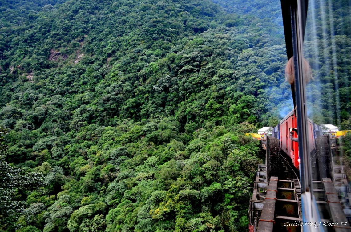 tags: natureza,trem,verde

Serra do Mar, PR, Brasil, de trem de Curitiba a Morretes
