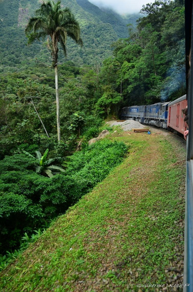tags: natureza,trem,verde

Serra do Mar, PR, Brasil, de trem de Curitiba a Morretes