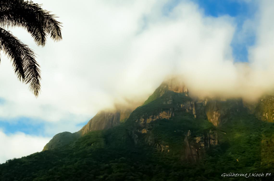 tags: natureza,paisagem,verde

Serra do Mar, PR, Brasil, de trem de Curitiba a Morretes