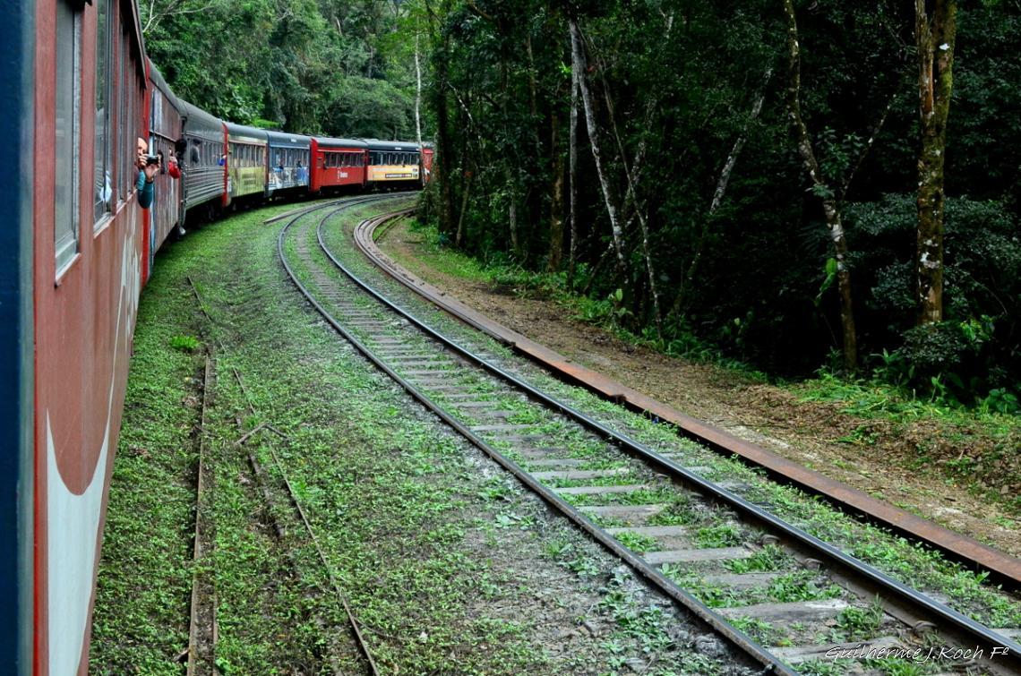 tags: Trem,natureza

Serra do Mar, PR, Brasil, de trem de Curitiba a Morretes