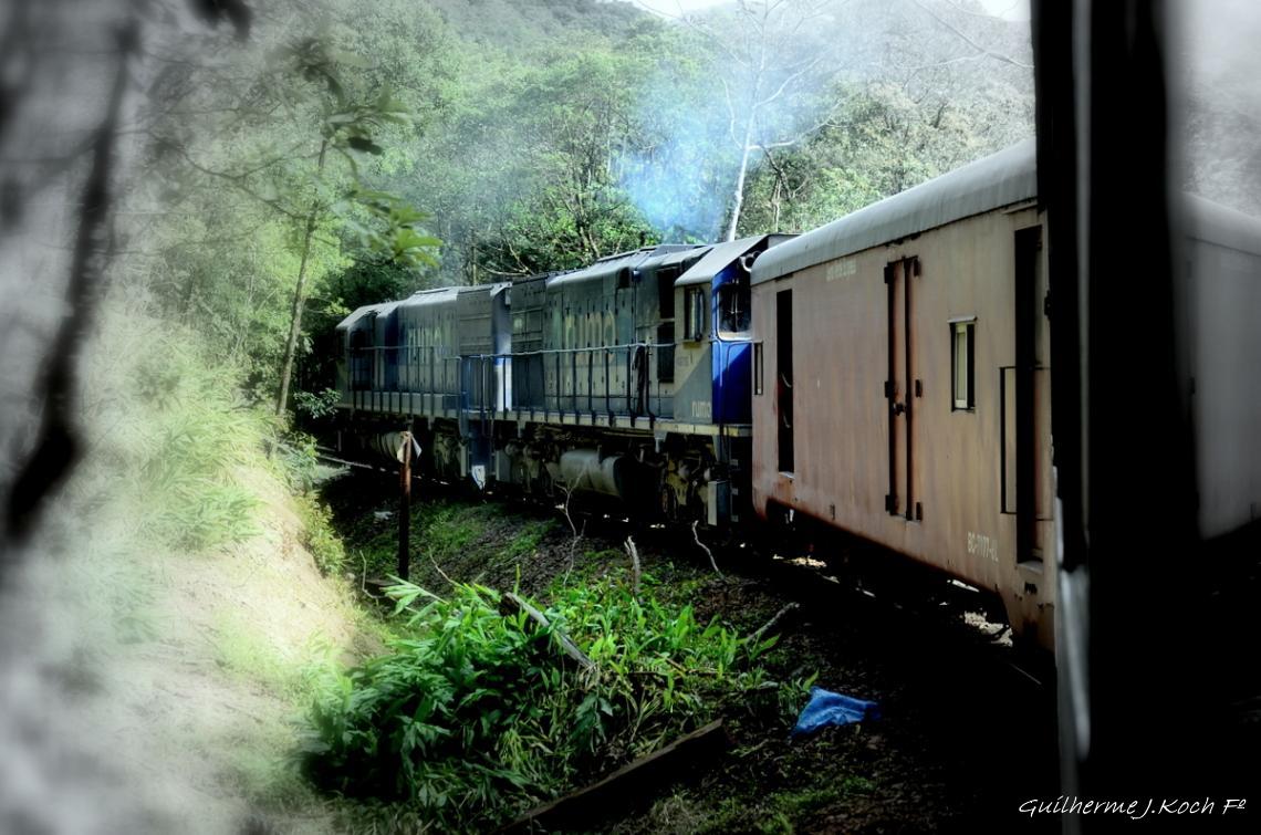tags: Trem,natureza

Serra do Mar, PR, Brasil, de trem de Curitiba a Morretes