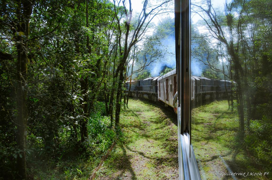 tags: Trem,natureza,reflexo,paisagem

Serra do Mar, PR, Brasil, de trem de Curitiba a Morretes