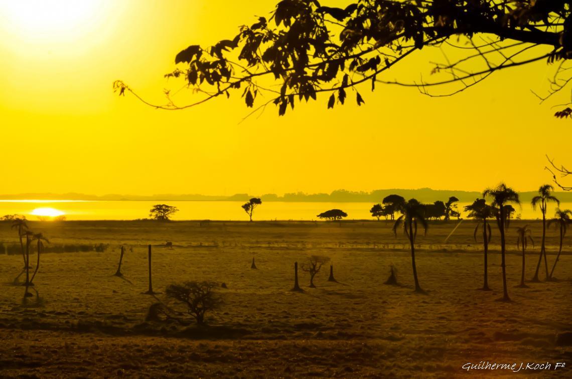 tags: amanhecer,amarelo,paisagem,natureza

Amanhecer em Maquin&eacute;, RS, Brasil