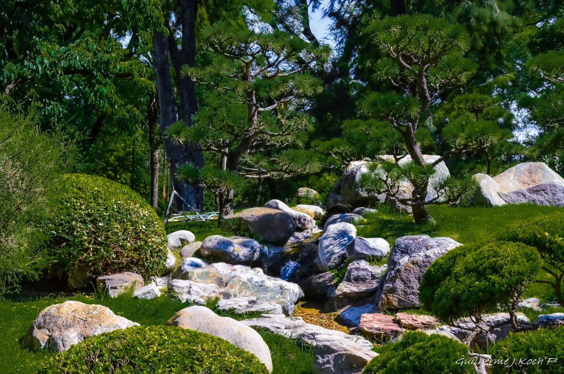 tags: 

Jard&iacute;n Japon&eacute;s, Buenos Aires, Argentina