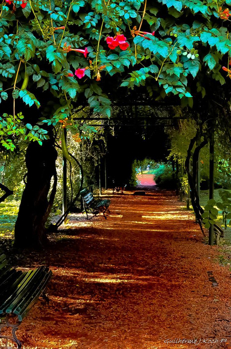 tags: 

Jard&iacute;n Botanico, Buenos Aires, Argentina