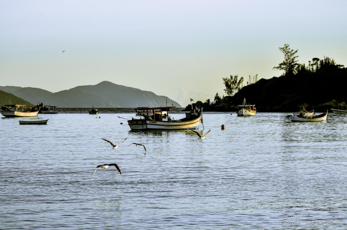 tags: amanhecer,praias brasileiras,praia,natureza,brasil,agua,mar

