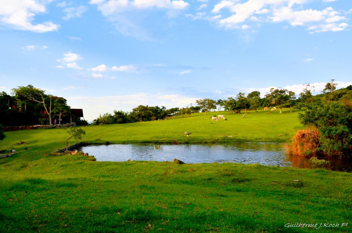 tags: natureza,lago,verde,campo,brasil,agua

