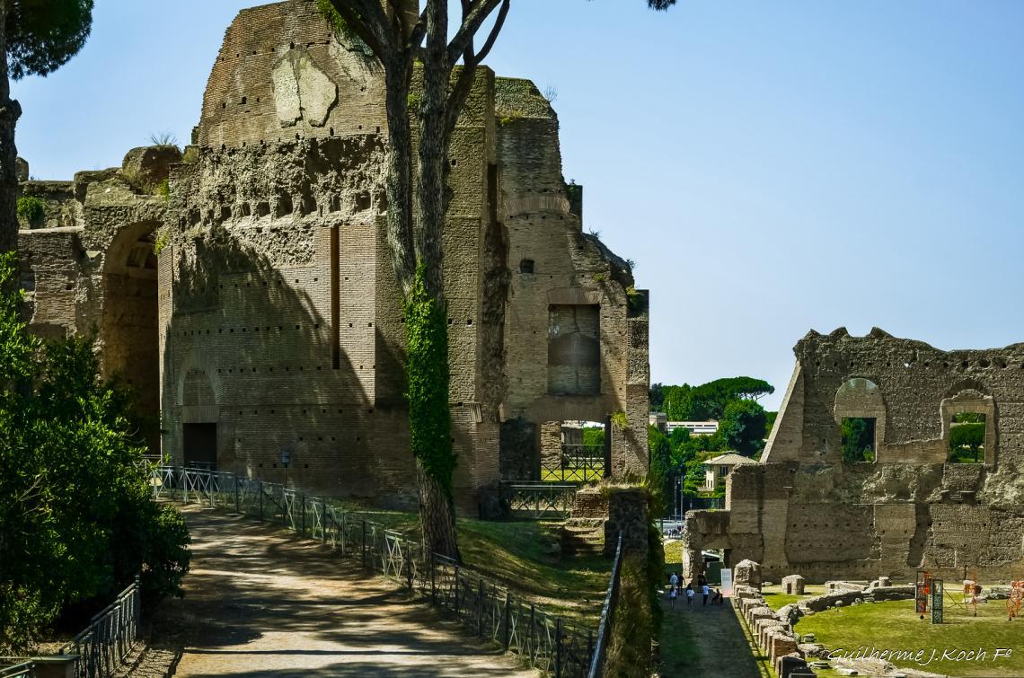 tags: 

Terme di Massenzio, Palatino, Roma, Ita