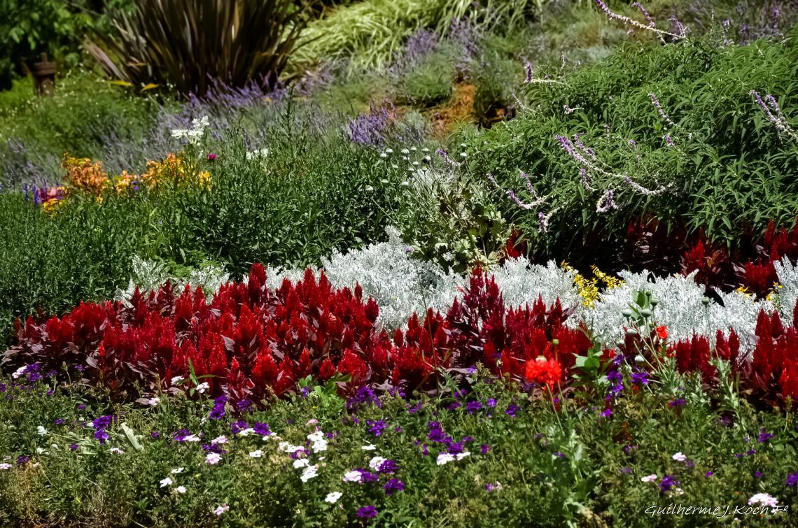 tags: Parque,Flores,natureza,colorido

Parque das Lavandas - Gramado RS