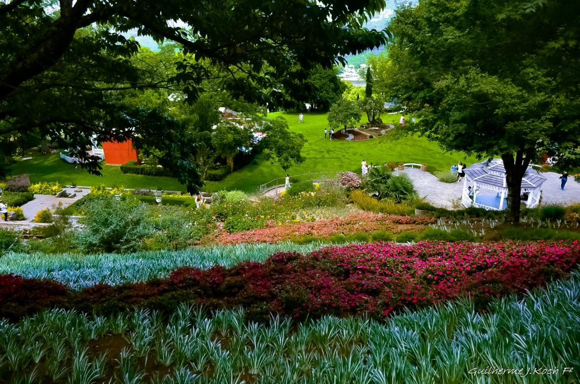 tags: Parque,Flores,natureza,colorido

Parque das Lavandas - Gramado RS