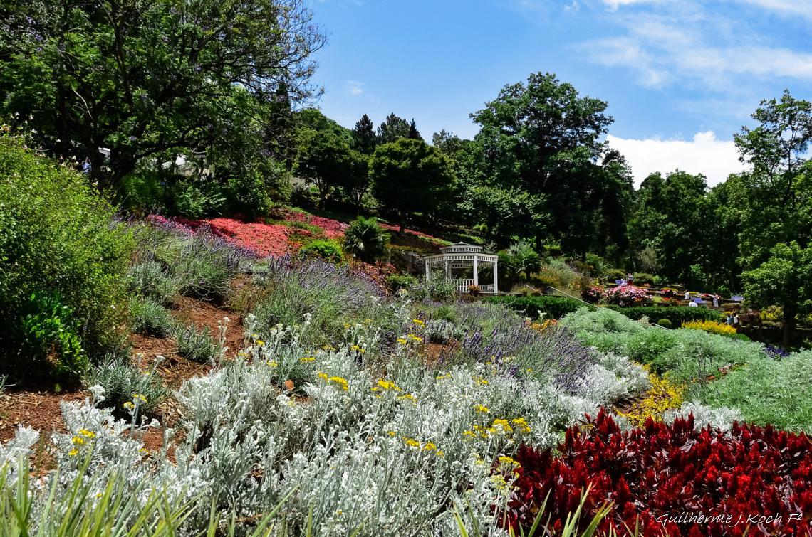 tags: Parque,Flores,natureza,colorido

Parque das Lavandas - Gramado RS