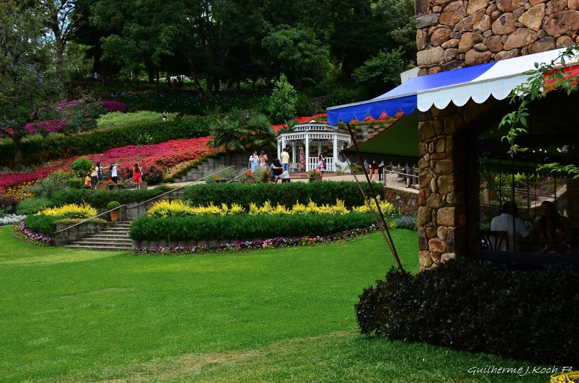 tags: Parque,Flores,natureza,colorido

Parque das Lavandas - Gramado RS