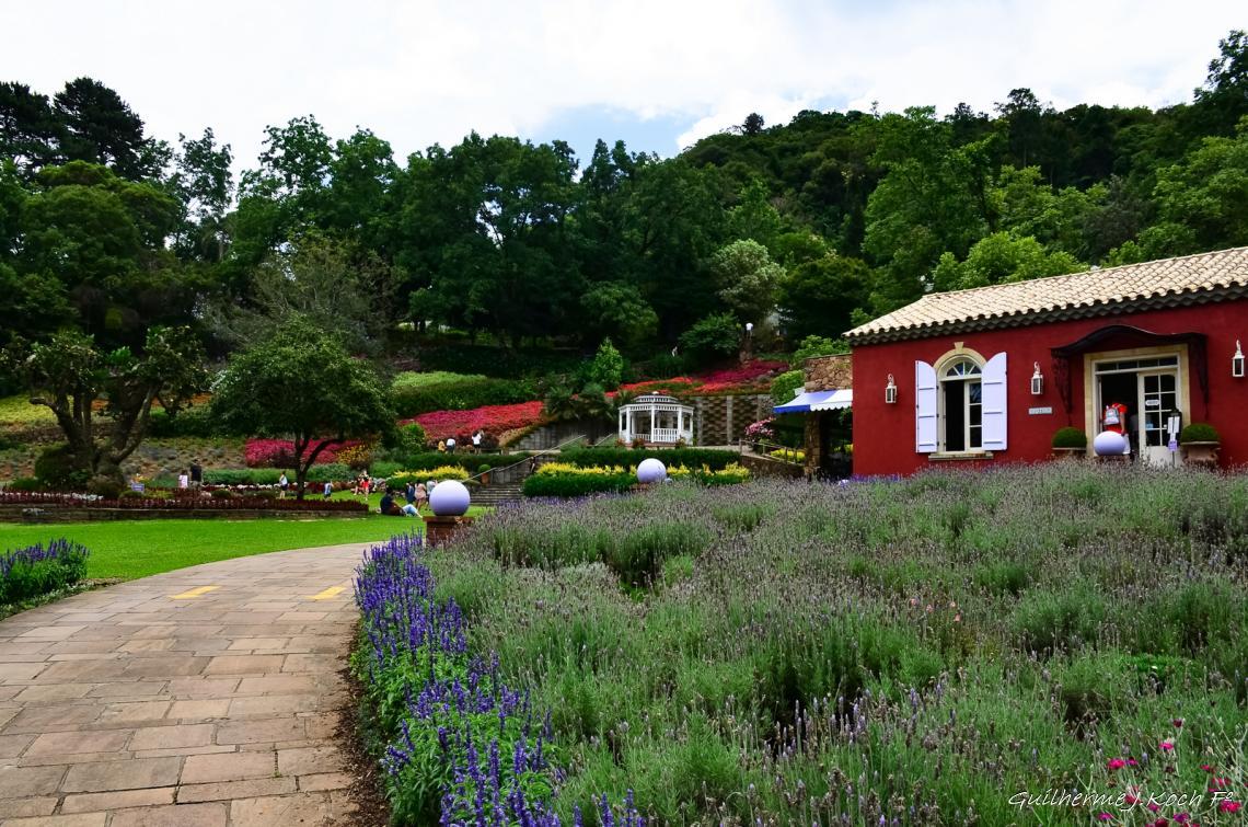 tags: Parque,Flores,natureza,colorido

Parque das Lavandas - Gramado RS