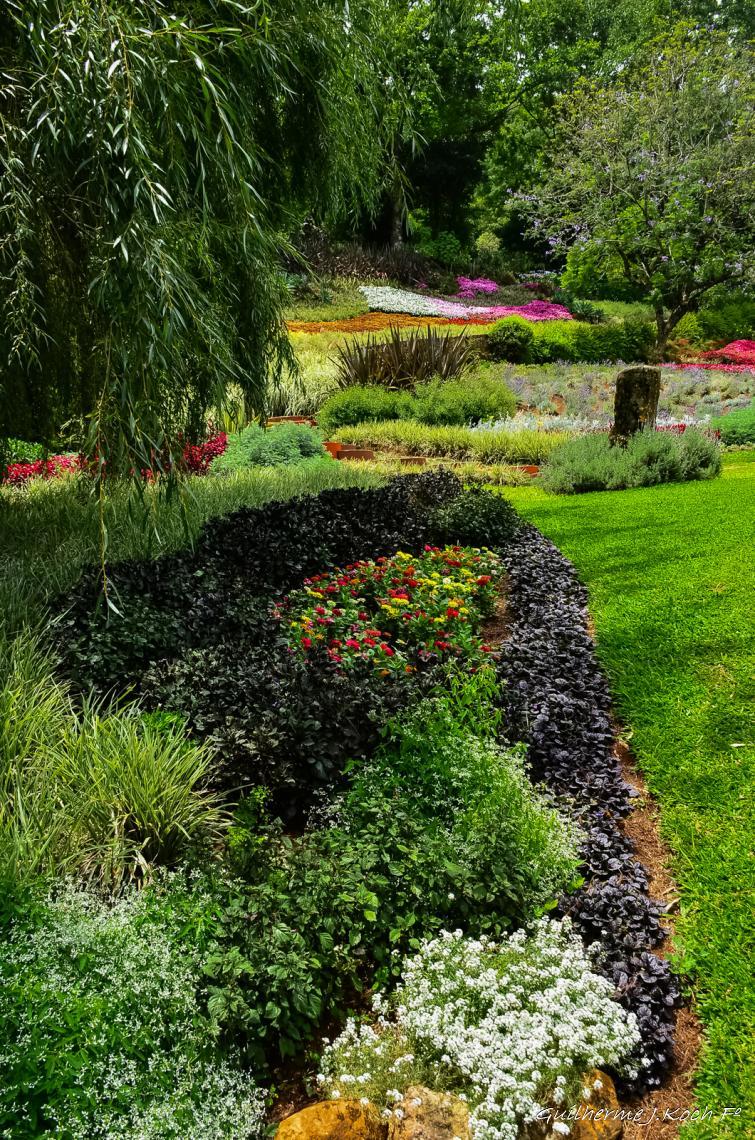 tags: Parque,Flores,natureza,colorido

Parque das Lavandas - Gramado RS