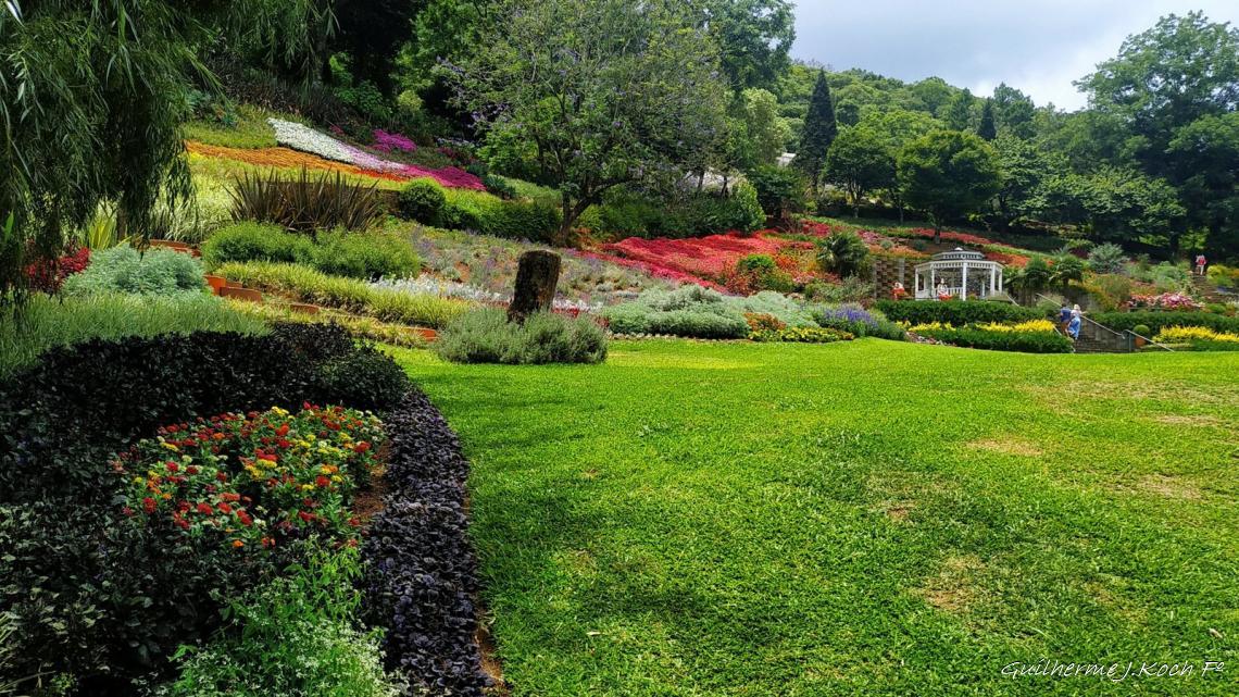 tags: Parque,Flores,natureza,colorido

Parque das Lavandas - Gramado RS