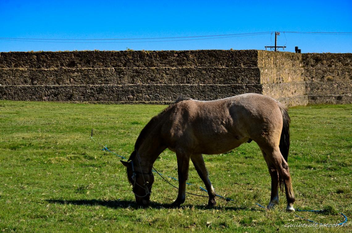 tags: fortifica&ccedil;&atilde;o,hist&oacute;ria

Forte dom Pedro II -   Ca&ccedil;apava do Sul - RS - Brasil