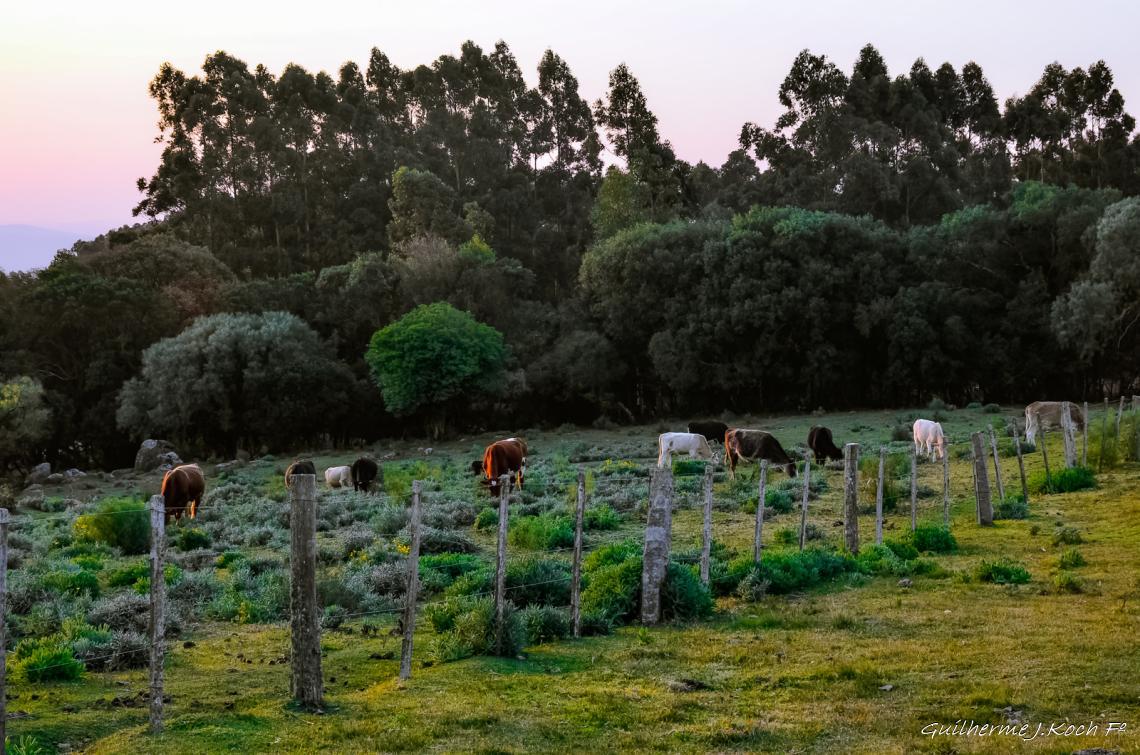 tags: natureza,posada

Ch&aacute;cara do forte - Ca&ccedil;apava do Sul - RS - Brasil