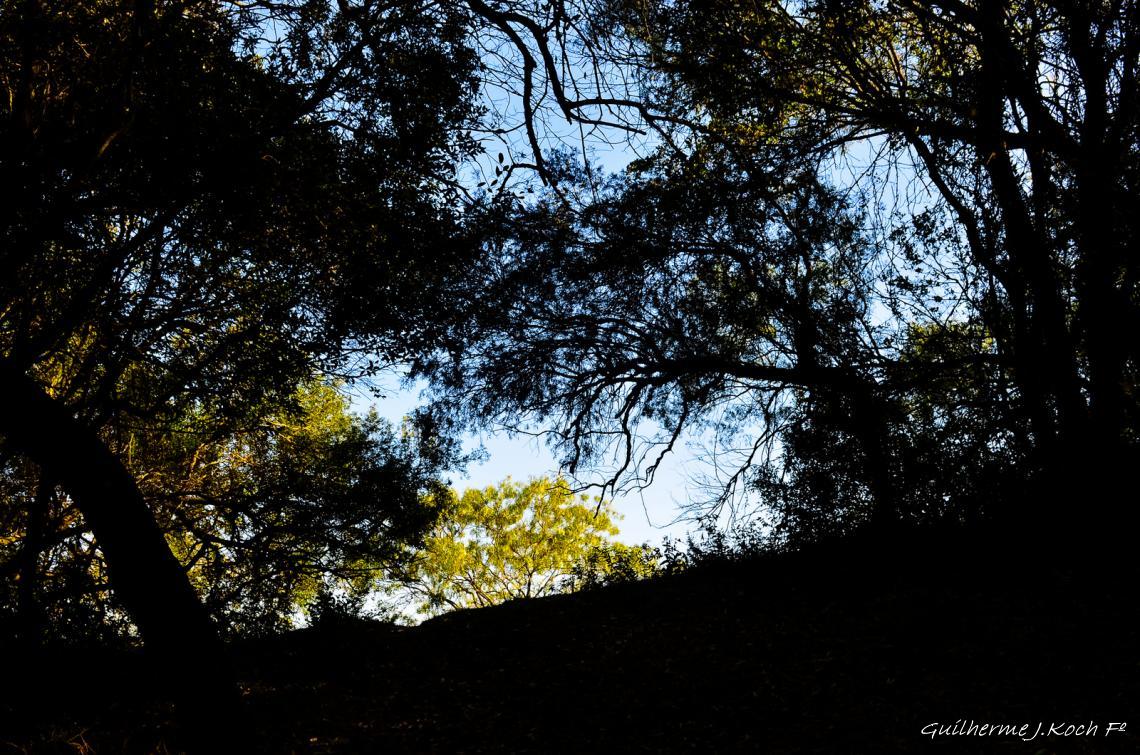 tags: natureza,paisagem,mata

Ch&aacute;cara do forte - Ca&ccedil;apava do Sul - RS - Brasil