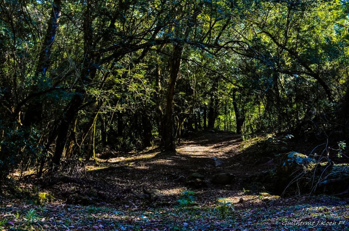 tags: natureza,paisagem,mata

Ch&aacute;cara do forte - Ca&ccedil;apava do Sul - RS - Brasil