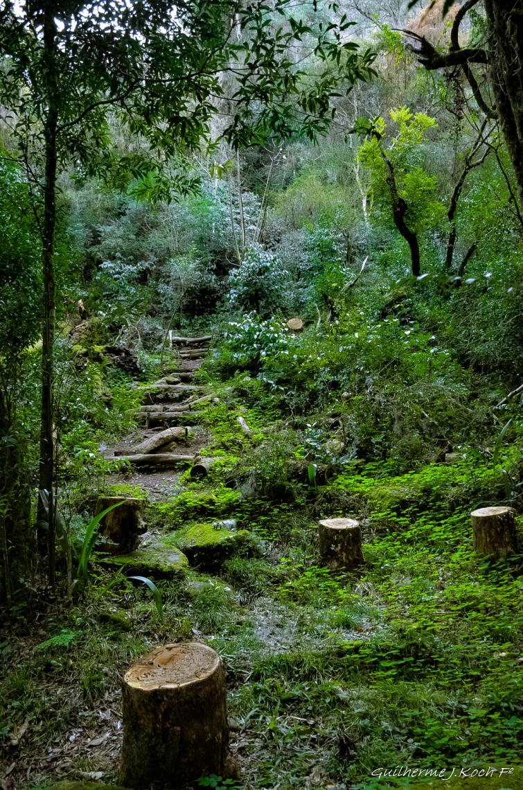 tags: paisagem,morros,natureza,floresta,mata,grutas

Parque Natural M. Pedra do Segredo - Ca&ccedil;apava do Sul - RS - Brasil