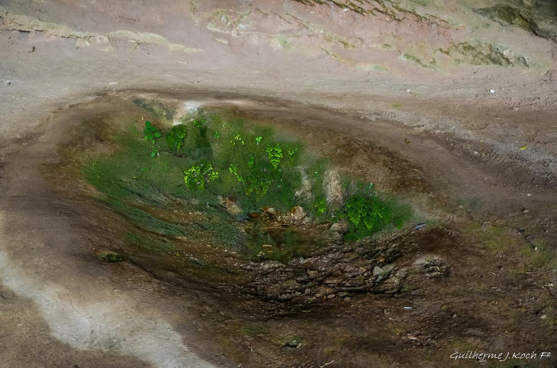 tags: paisagem,morros,natureza,floresta,mata,grutas

Parque Natural M. Pedra do Segredo - Ca&ccedil;apava do Sul - RS - Brasil